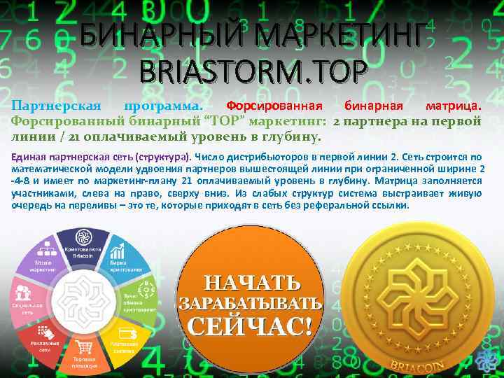 БИНАРНЫЙ МАРКЕТИНГ BRIASTORM. TOP Партнерская программа. Форсированная бинарная матрица. Форсированный бинарный “TOP” маркетинг: 2