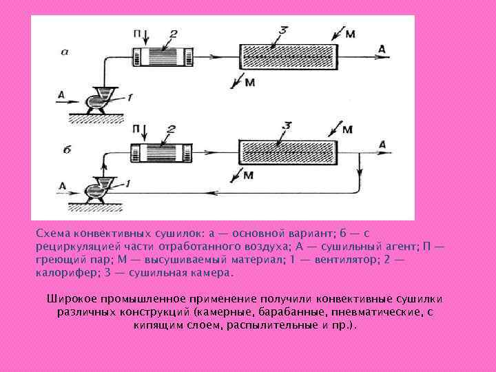 Схема сушилки конвективного типа