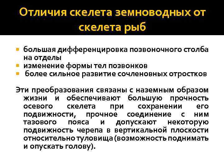 Отличия скелета земноводных от скелета рыб большая дифференцировка позвоночного столба на отделы изменение формы