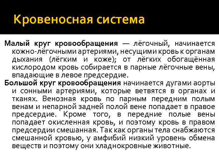 Кровеносная система Малый круг кровообращения — лёгочный, начинается кожно-лёгочными артериями, несущими кровь к органам