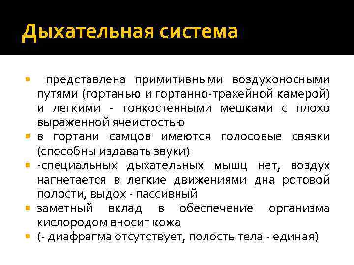 Дыхательная система представлена примитивными воздухоносными путями (гортанью и гортанно-трахейной камерой) и легкими - тонкостенными