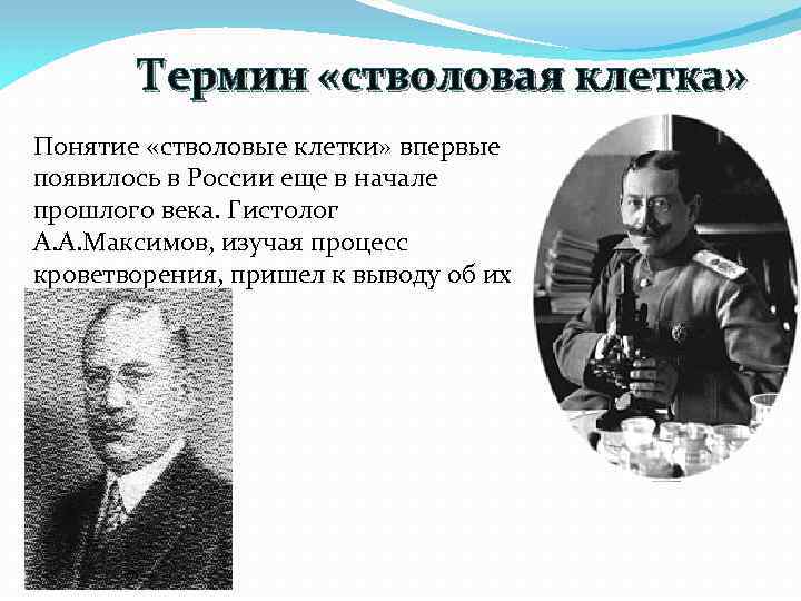 Термин клетка