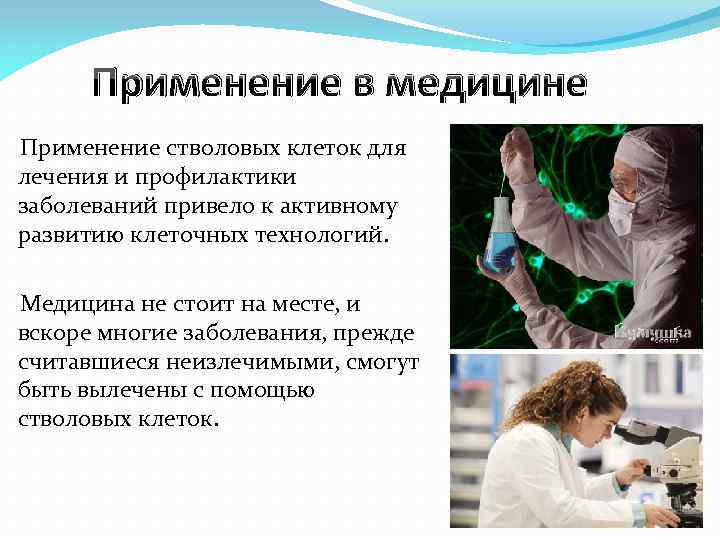 Стволовые клетки и их применение в медицине презентация