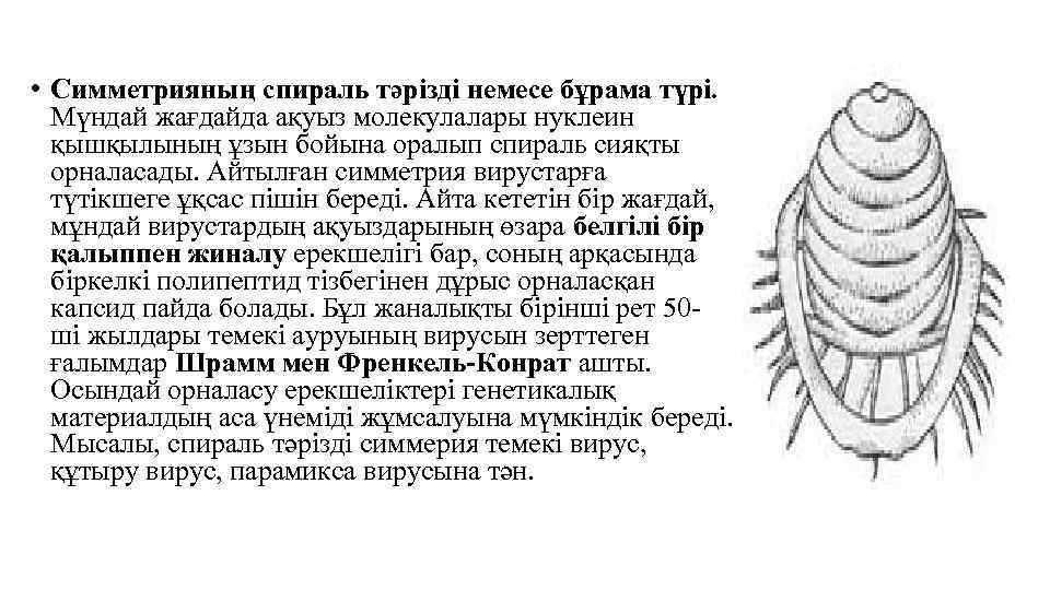  • Симметрияның спираль тәрізді немесе бұрама түрі. Мүндай жағдайда ақуыз молекулалары нуклеин қышқылының