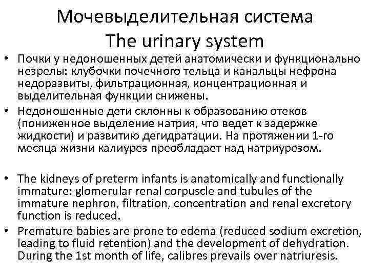 Мочевыделительная система The urinary system • Почки у недоношенных детей анатомически и функционально незрелы: