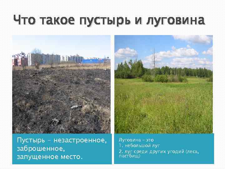 Что такое пустырь и луговина Пустырь - незастроенное, заброшенное, запущенное место. Луговина – это