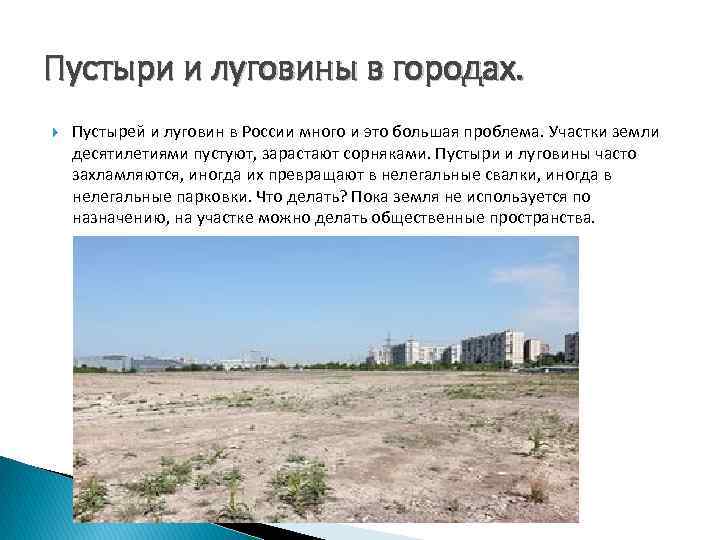 Пустыри и луговины в городах. Пустырей и луговин в России много и это большая