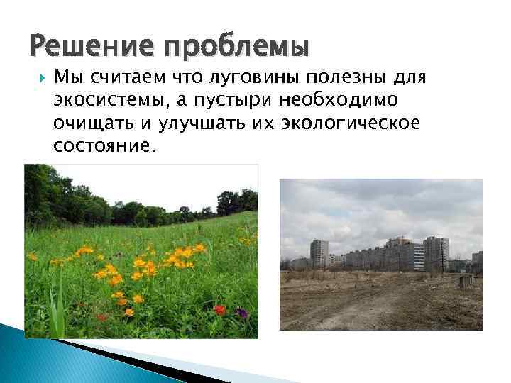 Решение проблемы Мы считаем что луговины полезны для экосистемы, а пустыри необходимо очищать и
