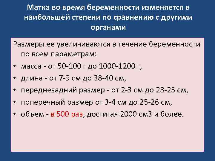 Матка во время беременности изменяется в наибольшей степени по сравнению с другими органами Размеры