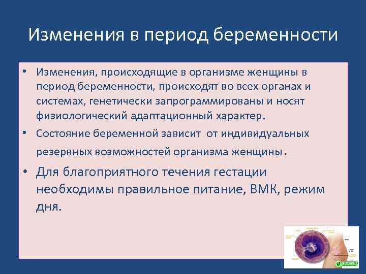 Изменения в период беременности • Изменения, происходящие в организме женщины в период беременности, происходят