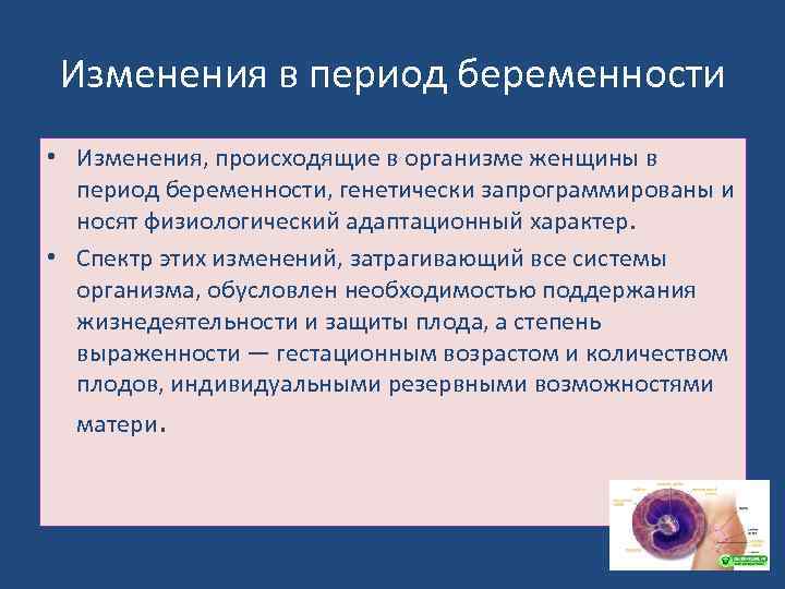 Изменения в период беременности • Изменения, происходящие в организме женщины в период беременности, генетически