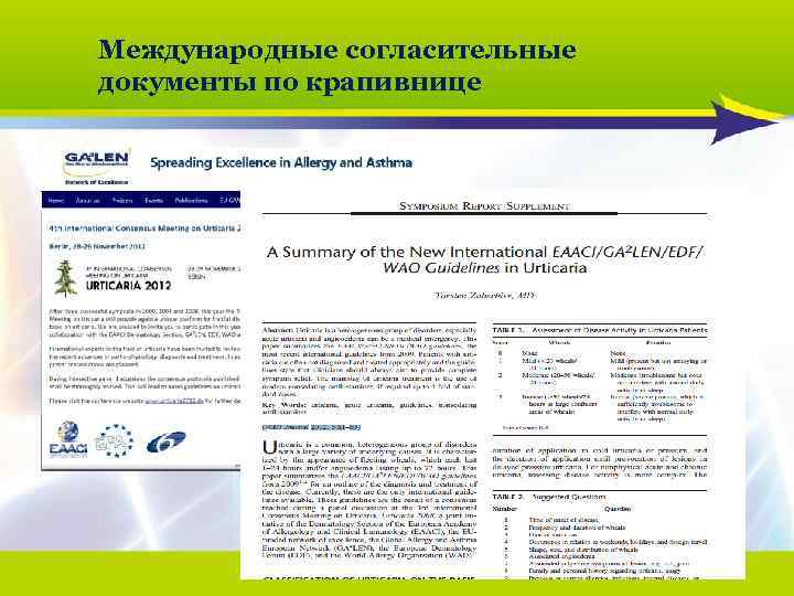 Международные согласительные документы по крапивнице 2013/02 -062 