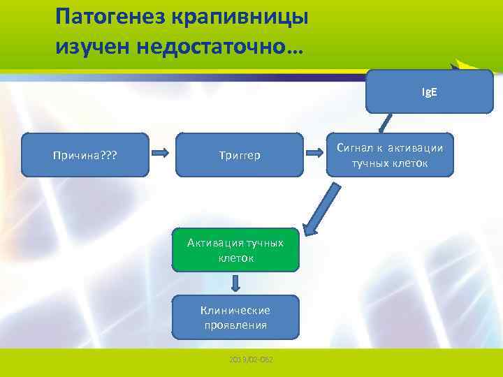 Иммунология крапивница презентация