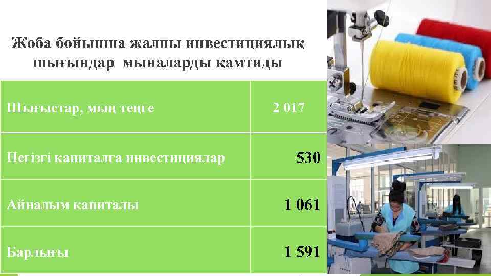 Жоба бойынша жалпы инвестициялық шығындар мыналарды қамтиды Шығыстар, мың теңге Негізгі капиталға инвестициялар 2