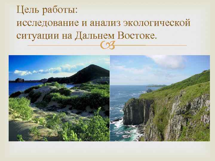 Цель работы: исследование и анализ экологической ситуации на Дальнем Востоке. 