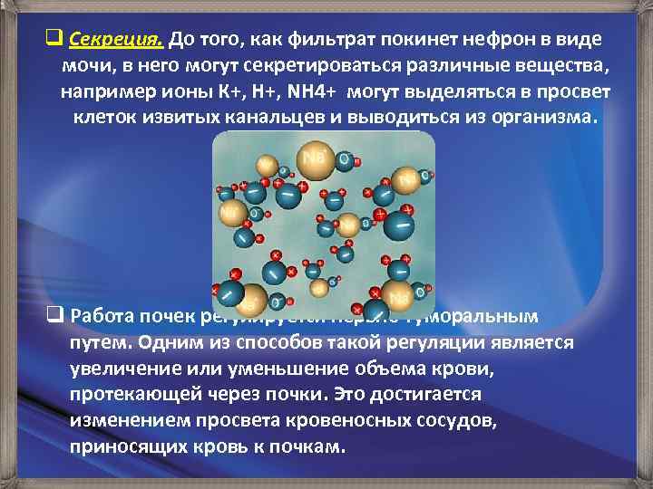 q Секреция. До того, как фильтрат покинет нефрон в виде мочи, в него могут