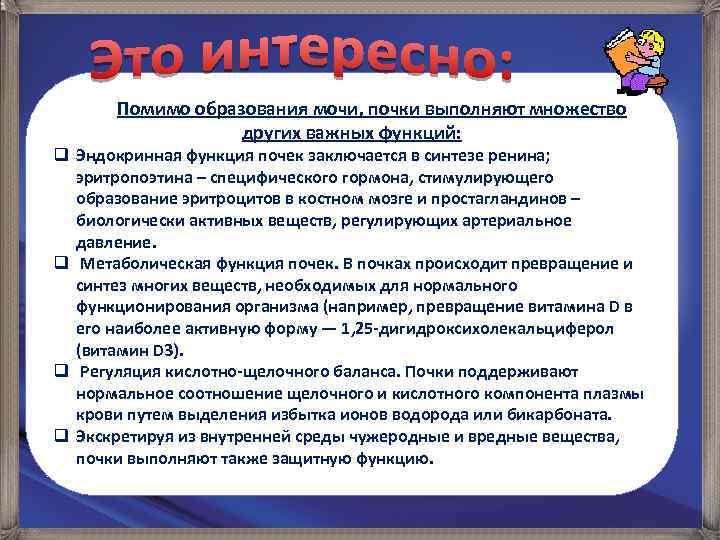  Помимо образования мочи, почки выполняют множество других важных функций: q Эндокринная функция почек