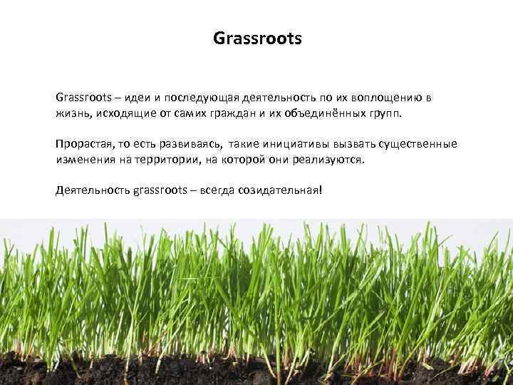 Grassroots – идеи и последующая деятельность по их воплощению в жизнь, исходящие от самих