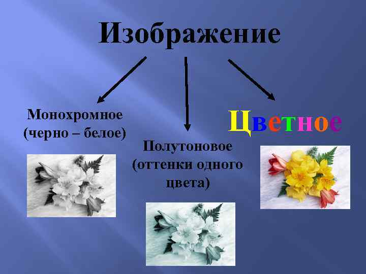 Изображение Монохромное (черно – белое) Цветное Полутоновое (оттенки одного цвета) 