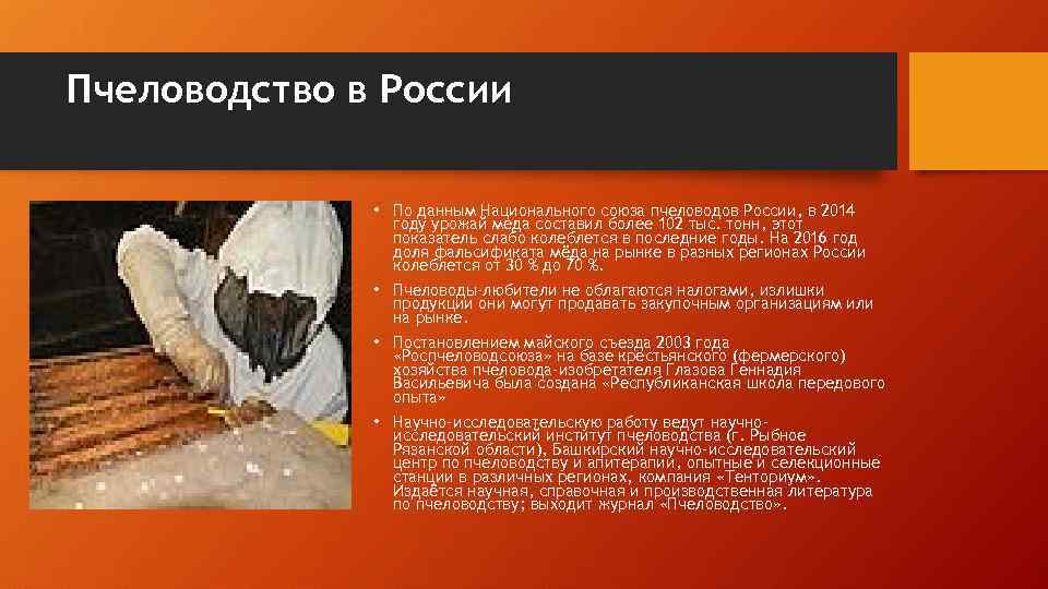 Пчеловодство в России • По данным Национального союза пчеловодов России, в 2014 году урожай