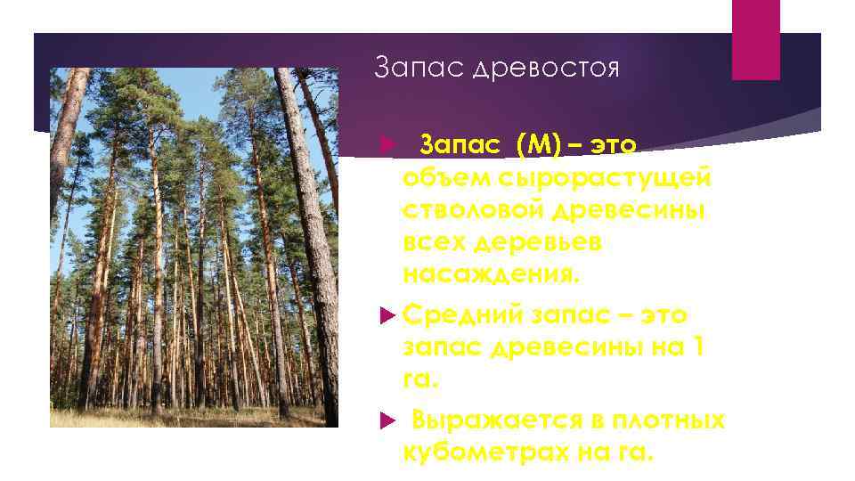 Запас древостоя Запас (М) – это объем сырорастущей стволовой древесины всех деревьев насаждения. Средний