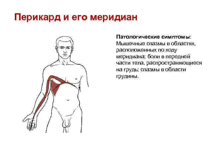 Нервная колика. Мышечные спазмы в грудной клетке. Спазм мышц грудной клетки. Спастические боли в грудной клетке.