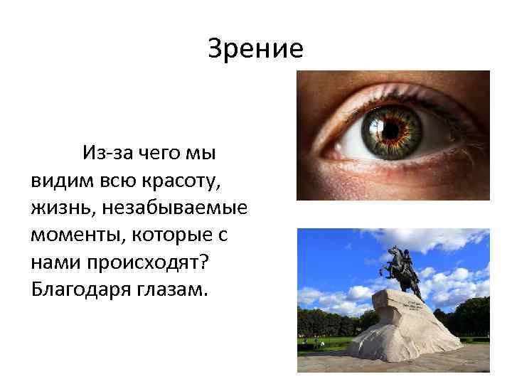 Зрение Из-за чего мы видим всю красоту, жизнь, незабываемые моменты, которые с нами происходят?