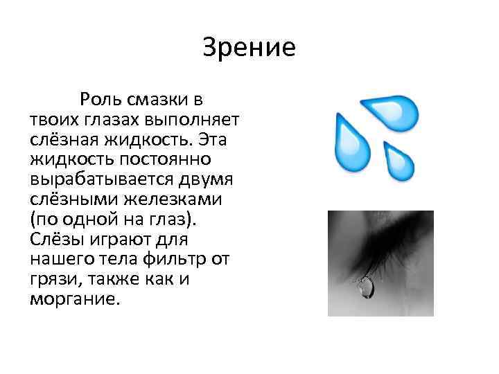 Зрение Роль смазки в твоих глазах выполняет слёзная жидкость. Эта жидкость постоянно вырабатывается двумя