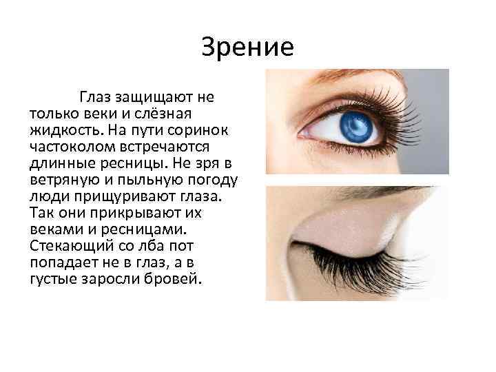 Зрение Глаз защищают не только веки и слёзная жидкость. На пути соринок частоколом встречаются