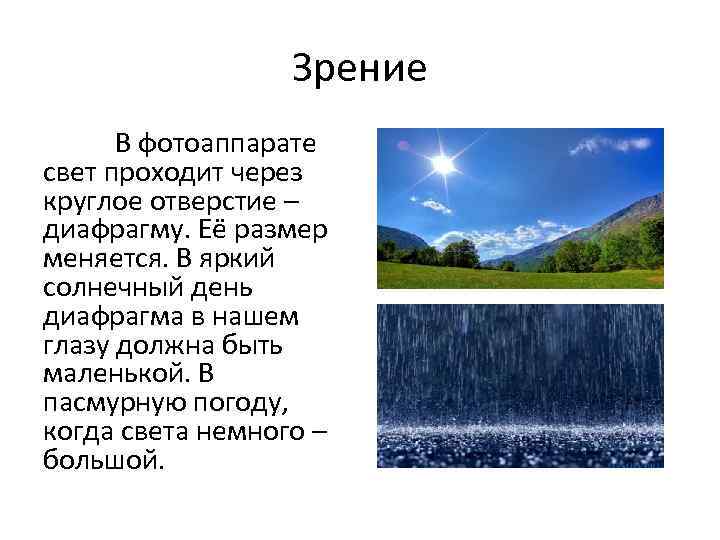 Зрение В фотоаппарате свет проходит через круглое отверстие – диафрагму. Её размер меняется. В