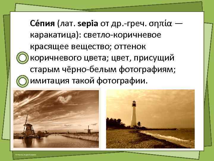 Се пия (лат. sepia от др. -греч. σηπία — каракатица): светло-коричневое красящее вещество; оттенок