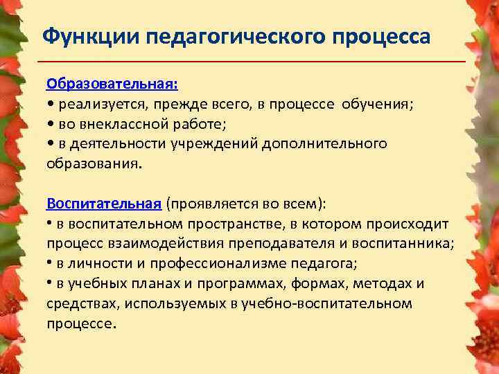 Функции педагогического процесса Образовательная: • реализуется, прежде всего, в процессе обучения; • во внеклассной