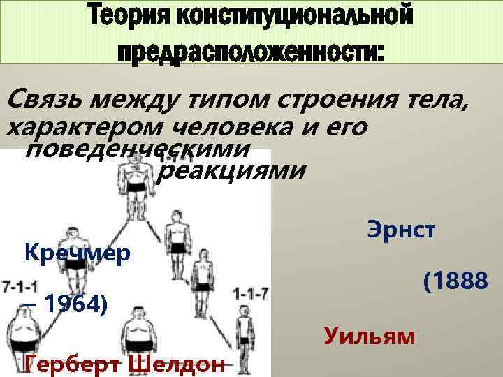 Теория конституциональной предрасположенности: Связь между типом строения тела, характером человека и его поведенческими реакциями