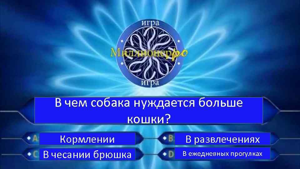 В чем собака нуждается больше кошки? Кормлении В чесании брюшка В развлечениях В ежедневных