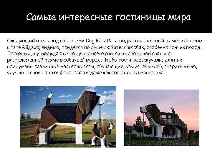 Самые интересные гостиницы мира Следующий отель под названием Dog Bark Park Inn, расположенный в