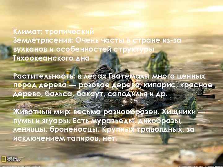 Климат: тропический Землетрясения: Очень часты в стране из-за вулканов и особенностей структуры Тихоокеанского дна