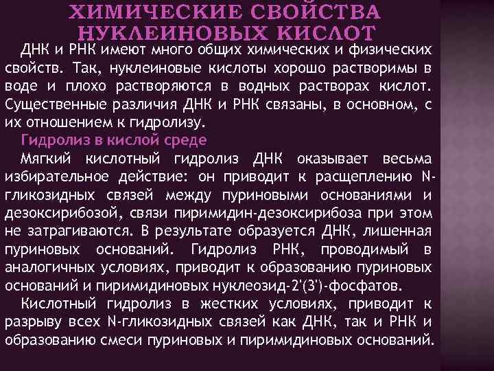 ХИМИЧЕСКИЕ СВОЙСТВА НУКЛЕИНОВЫХ КИСЛОТ ДНК и РНК имеют много общих химических и физических свойств.