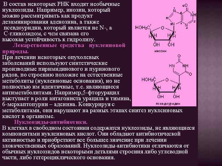  В состав некоторых РНК входят необычные нуклеозиды. Например, инозин, который можно рассматривать как