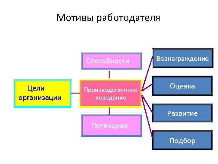 Мотивы работодателя Способности Цели организации Производственное поведение Вознаграждение Оценка Развитие Потенциал Подбор 