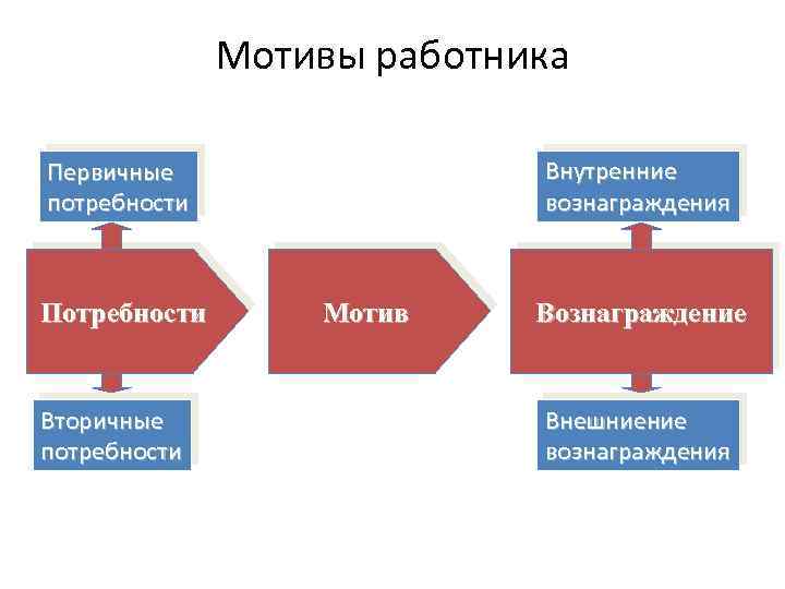 Потребности мотивы вознаграждения