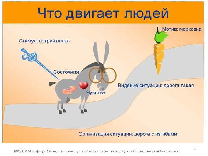 МИИТ, ИЭФ, кафедра 