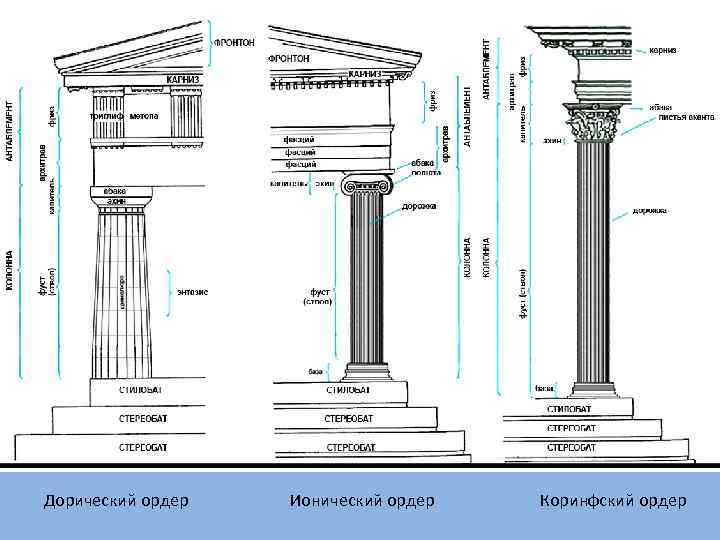  Дорический ордер Ионический ордер Коринфский ордер 