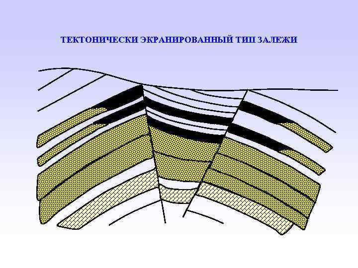 ТЕКТОНИЧЕСКИ ЭКРАНИРОВАННЫЙ ТИП ЗАЛЕЖИ 