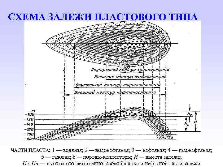 СХЕМА ЗАЛЕЖИ ПЛАСТОВОГО ТИПА ЧАСТИ ПЛАСТА: 1 — водяная; 2 — водонефтяная; 3 —