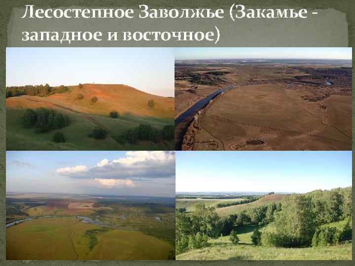 Лесостепное Заволжье (Закамье - западное и восточное) 