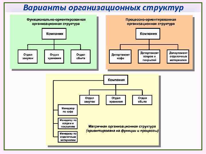 К организационным структурам относятся