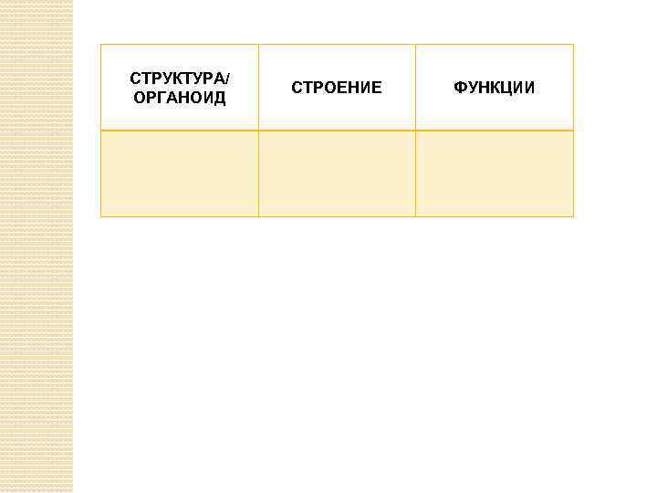 СТРУКТУРА/ ОРГАНОИД СТРОЕНИЕ ФУНКЦИИ 