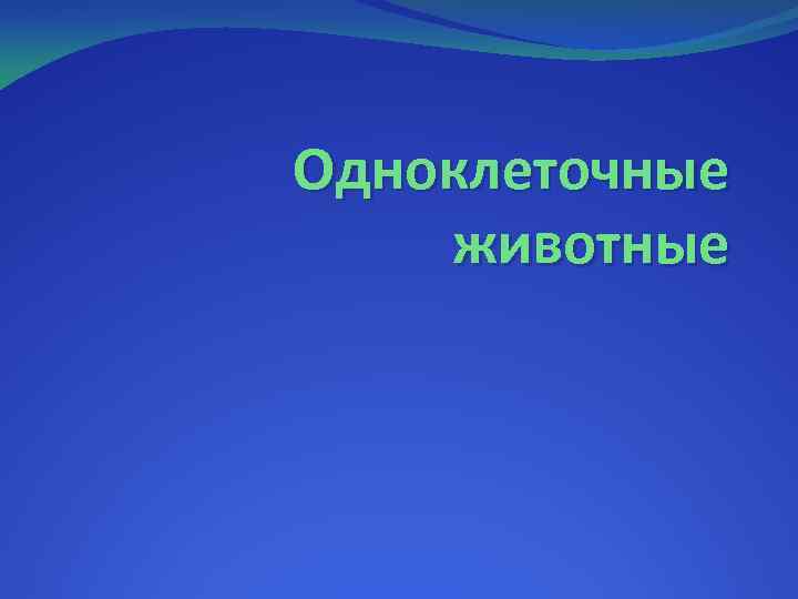 Одноклеточные животные 