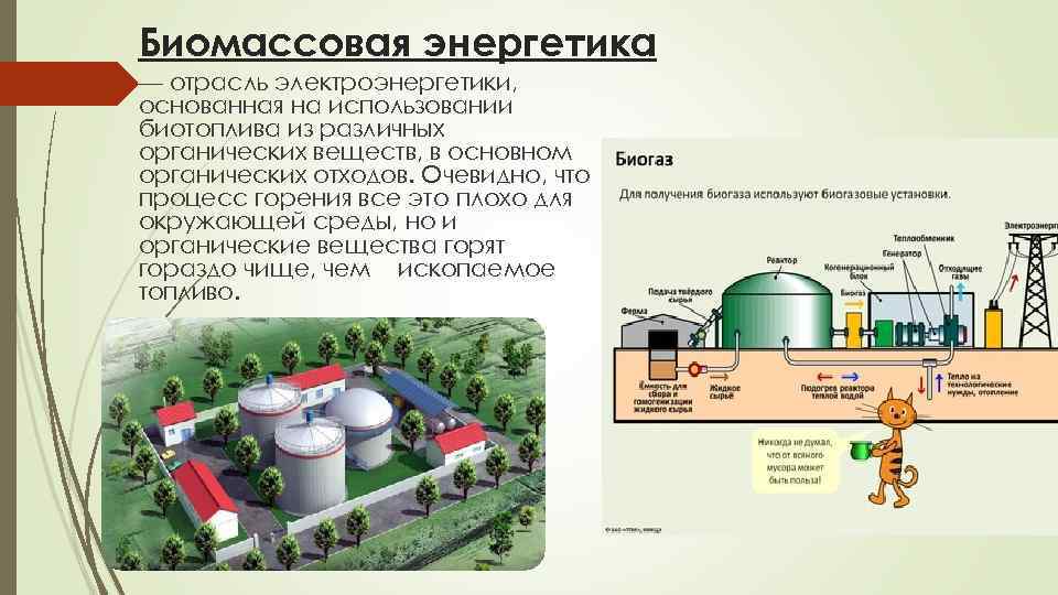 Биомассовая энергетика — отрасль электроэнергетики, основанная на использовании биотоплива из различных органических веществ, в