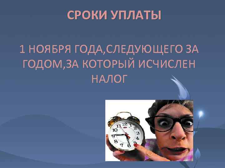 СРОКИ УПЛАТЫ 1 НОЯБРЯ ГОДА, СЛЕДУЮЩЕГО ЗА ГОДОМ, ЗА КОТОРЫЙ ИСЧИСЛЕН НАЛОГ 